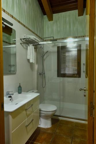 a bathroom with a shower and a toilet and a sink at Lares · Cabañas Rurales in Las Médulas