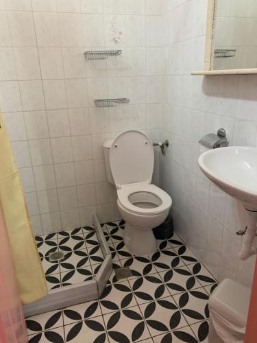 a bathroom with a toilet and a sink at Dodekanisos Leros I in Agia Marina