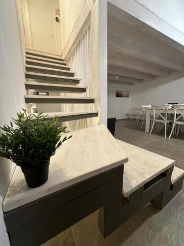 a bench with a potted plant in a room at L'Oasi del Tirreno in Lascari