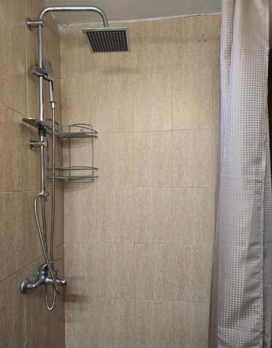 a shower in a bathroom with a shower curtain at Pomegranate Seaside Corner in Fanari