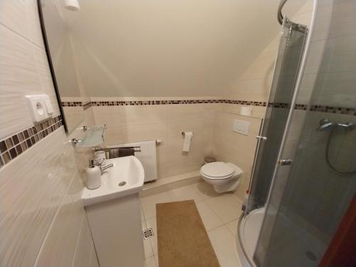 a bathroom with a toilet and a sink and a shower at Noclegi u Franka in Niedzica