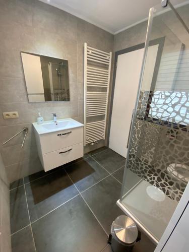 a bathroom with a white sink and a shower at gite du Berdinsart in Haut-le-Wastia