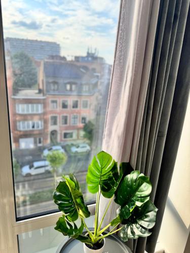 a potted plant in a window with a view of a city at LUYS Apartment in Brussels