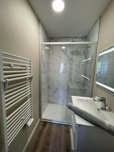 une salle de bain avec une douche en verre et un lavabo dans l'établissement Les 3G, à Abbeville