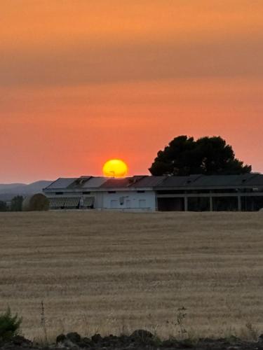 Gallery image of Il Tramonto in Giba