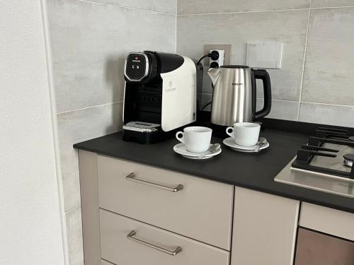 - Cafetera y 2 tazas en la encimera de la cocina en Agriturismo I FIORI, en Cassanesi