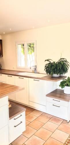 une cuisine avec des armoires blanches et deux plantes en pot dans l'établissement Maison Provençale avec piscine, à Coudoux