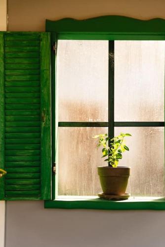 a green window with a potted plant on it at Nas Mar & Twins - Aristea in Petrití