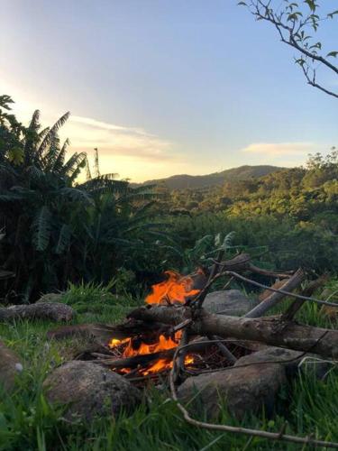 a fire pit with logs and rocks in a field at Colina Panzani in Ratones