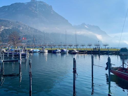 a group of boats docked in a harbor with a mountain at Dora o wellness o mountainview o lake Lucerne in Ingenbohl
