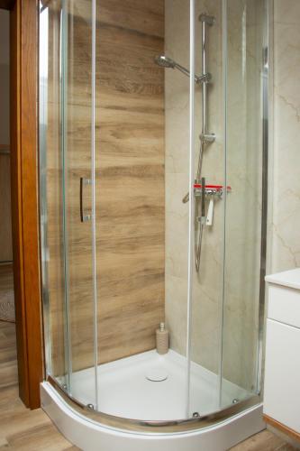 a shower with a glass door in a bathroom at Stylowe apartamenty in Charzykowy
