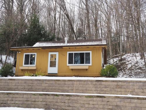a small yellow tiny house in the snow at The Crystalaire Cabin - Charming And Relaxing! in Frankfort