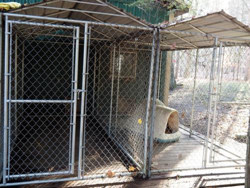 a cage with a dog inside of it at The Green Lake Getaway - Shared Lake Access! in Interlochen