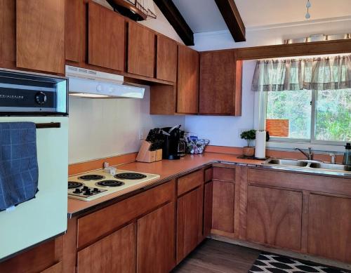 Dapur atau dapur kecil di Lake Escape - Private Lakefront With Kayaks!