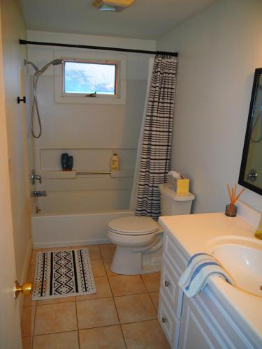 a bathroom with a toilet and a shower and a sink at The Bright And Breezy - Lakefront With Spa! in Frankfort