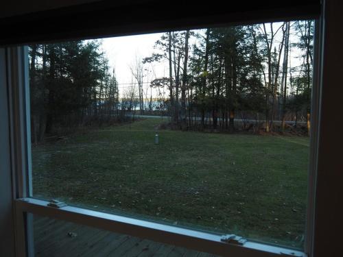 a view from a window of a yard with trees at The Green Lake Getaway - Shared Lake Access! in Interlochen
