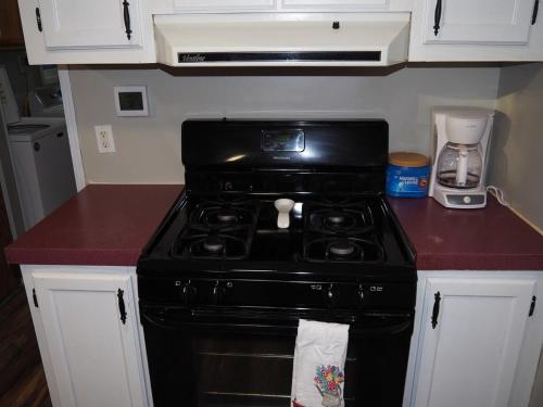 a black stove in a kitchen with a counter top at The Green Lake Getaway - Shared Lake Access! in Interlochen