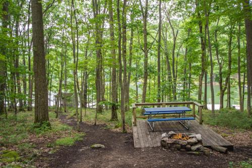 a picnic table and a fire pit in the woods at Lake Dreaming in McHenry