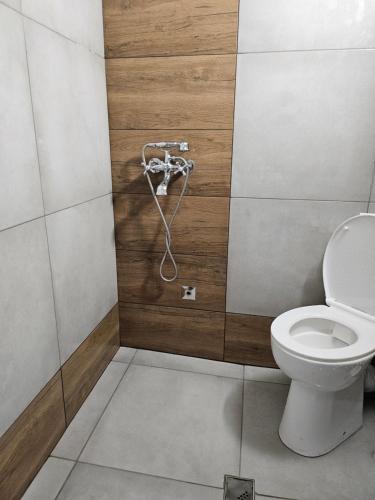 a bathroom with a toilet and a shower at Boutique house in Devin