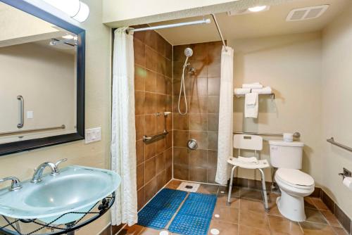 Koupelna v ubytování Best Western Elko Inn