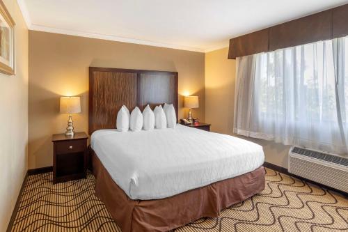 a hotel room with a large bed and a window at Best Western Plus Orchid Hotel & Suites in Roseville
