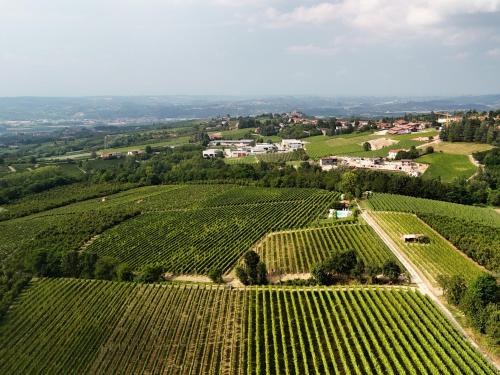 an aerial view of a vineyard in the napa valley at Casa Fornace 28 in La Morra