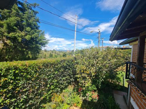 a hedge with flowers in front of a house at Apartamento campestre Rionegro in Rionegro