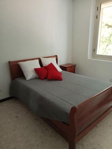 une chambre avec un lit avec des oreillers rouges et une fenêtre dans l'établissement La garenne basse chez Sylvie, à Saint-Didier