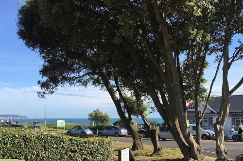 a group of trees in front of a parking lot at Bayside at 9 The Dome Barton on Sea in Barton on Sea