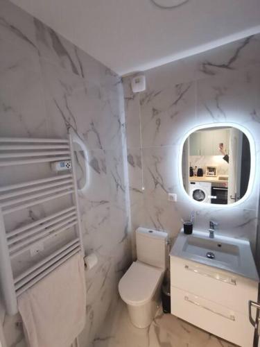 une salle de bain avec toilettes, lavabo et miroir dans l'établissement Cosy Apartment at Mérignac-centre, à Mérignac
