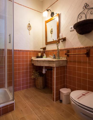 a bathroom with a sink and a toilet at Casa Rural Abuela Maxi in Ríolobos