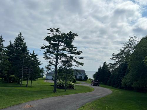 Gallery image of Xiao's Island Paradise in Rice Point