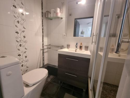 une salle de bain avec toilettes, lavabo et douche dans l'établissement Appartement rénové à Seignosse : Plage et commerces à pied, terrasse et wifi inclus - FR-1-239-1081, à Seignosse