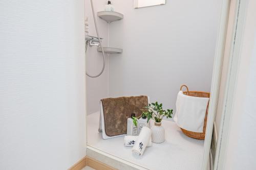 un comptoir de salle de bain avec des plantes dans des vases dessus dans l'établissement 26 ShinOkubo subway 5 mins,New design,more than 5 people, à Tokyo