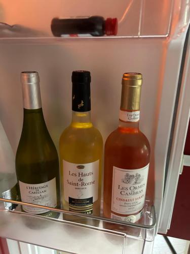 - trois bouteilles de vin dans un réfrigérateur dans l'établissement Appartement Zen, à Bourg-la-Reine