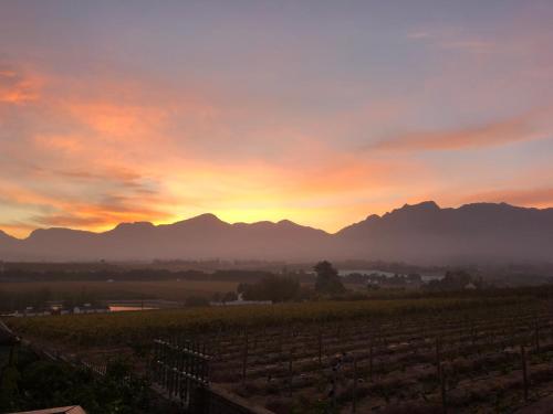 a sunset over a vineyard with mountains in the background at Wellington Country House in Wellington