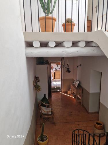 a room with a staircase with potted plants at chambre entre Nesque et Ventoux in Mormoiron
