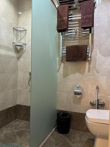 a bathroom with a toilet and a glass shower door at Nafta Sanatorium in Naftalan