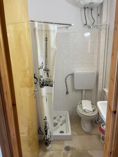 a small bathroom with a toilet and a shower curtain at Apartment of Zeus/Leptokarya in Leptokaria