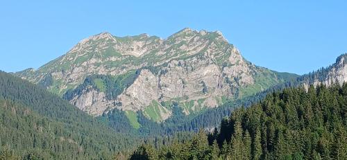 a large mountain with trees in front of it at Les Curtillets in Bellevaux