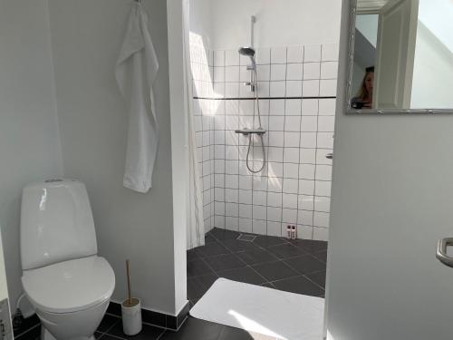 コペンハーゲンにあるCozy Apartment with Prime Location in Østerbroのバスルーム(白いトイレ、シャワー付)