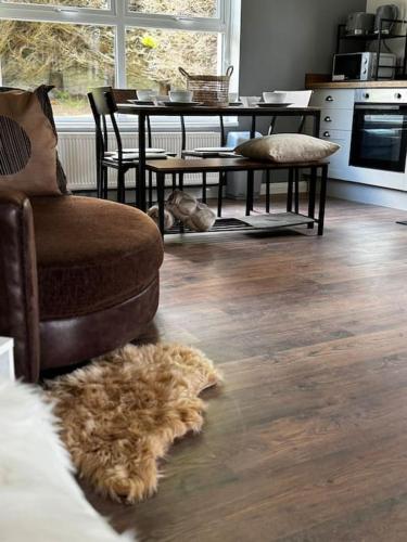 a dog laying on the floor in a living room at Sidhe Stays Ballycastle in Ballycastle