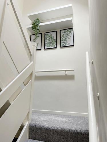 a staircase with two pictures on the wall and a plant at Oxford University Centre Lovely House in Oxford