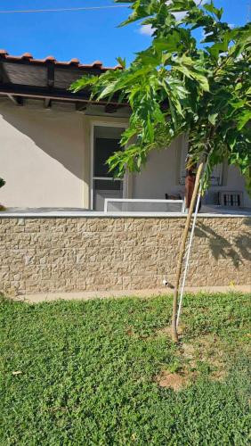 a tree in a yard in front of a house at Sea Side View in Dhíkella