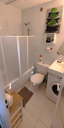 La salle de bains est pourvue de toilettes, d'un lavabo et d'un lave-linge. dans l'établissement Studio vue mer à Sant'Ambroggio, Lumio, à Lumio