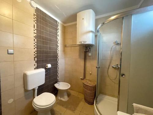 a small bathroom with a toilet and a shower at Guest House Šempeter in Šempeter v Savinjski Dolini