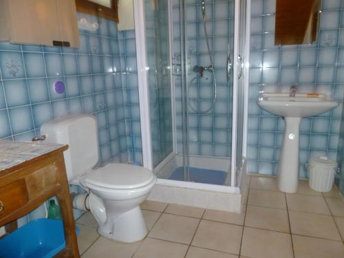 圣雷热雷梅累兹Maison charmante à Saint-Léger-les-Mélèzes avec jardin clôturé的浴室里有马桶、淋浴和洗手池。