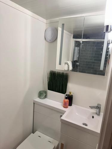 a bathroom with a toilet and a sink and a mirror at Apple-tree lodge in Taunton