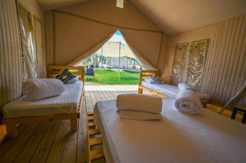 Postel nebo postele na pokoji v ubytování Elifaz Desert Experience Holiday