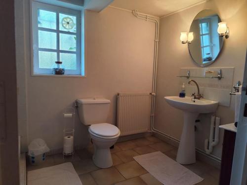 une salle de bain avec toilettes, lavabo et miroir dans l'établissement Jolie chambre indépendante avec salle d'eau privée, à Mornac